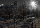Pedretti Frostsumpf large half night